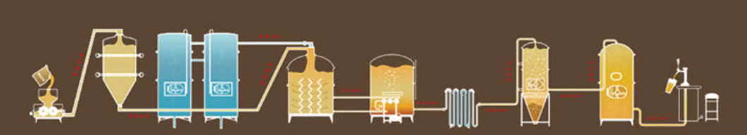beer-7